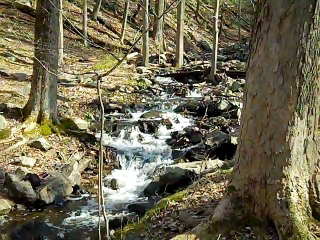 Teatown Lake